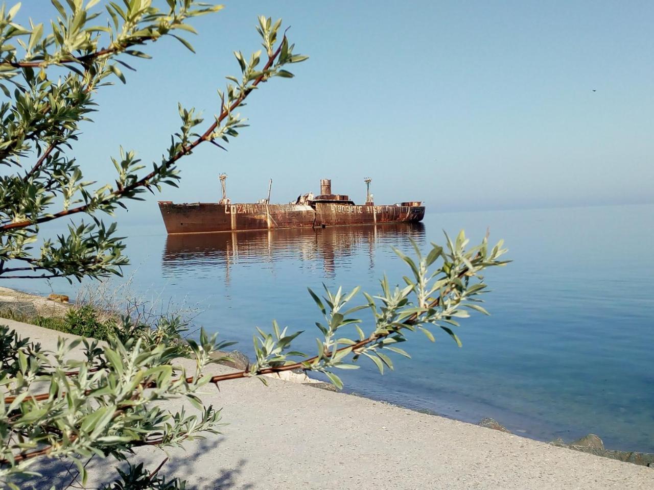 Pensiunea Casa Johnelly Costinesti Buitenkant foto